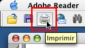 adobereader2b.png