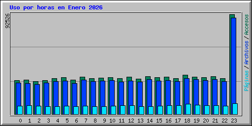 Uso por horas en Enero 2026
